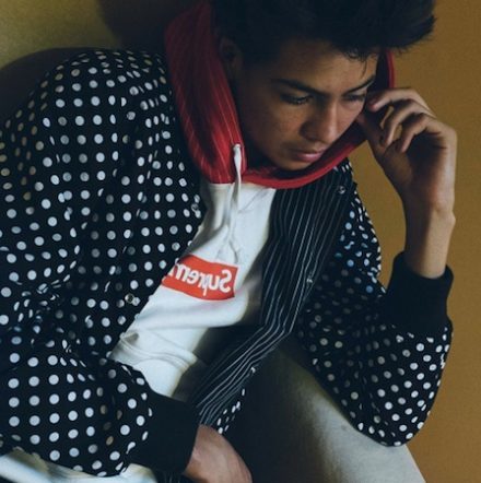 COMME des GARCONS SHIRT x Supreme Spring 2014