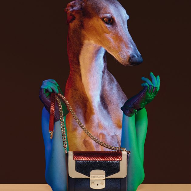Trussardi FW 14 ADV campaign – creative video