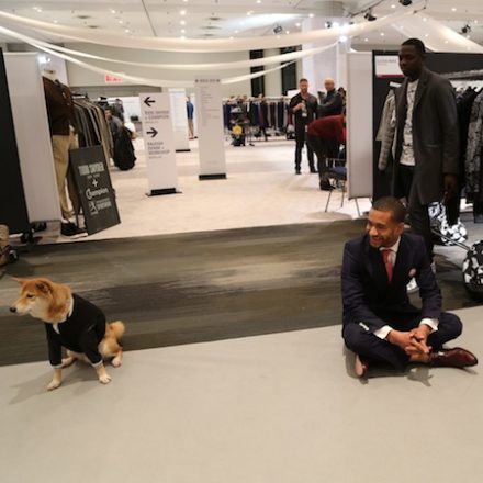 Project Show New York