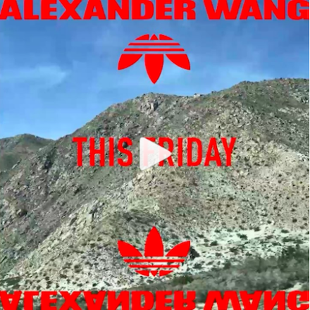 #WANGSQUAD on a Road Trip to Coachella