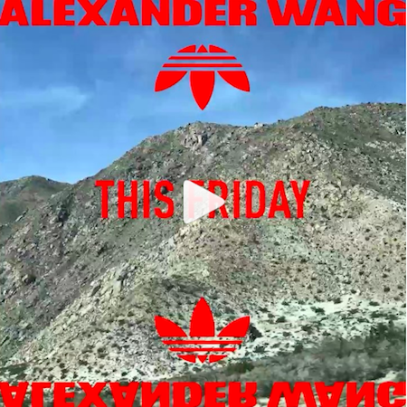 #WANGSQUAD on a Road Trip to Coachella