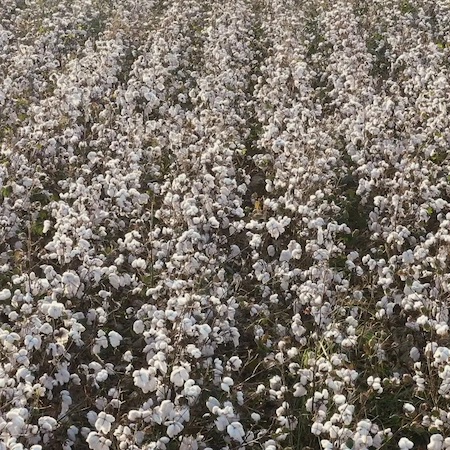 Vogue YOOX Challenge 2nd edition